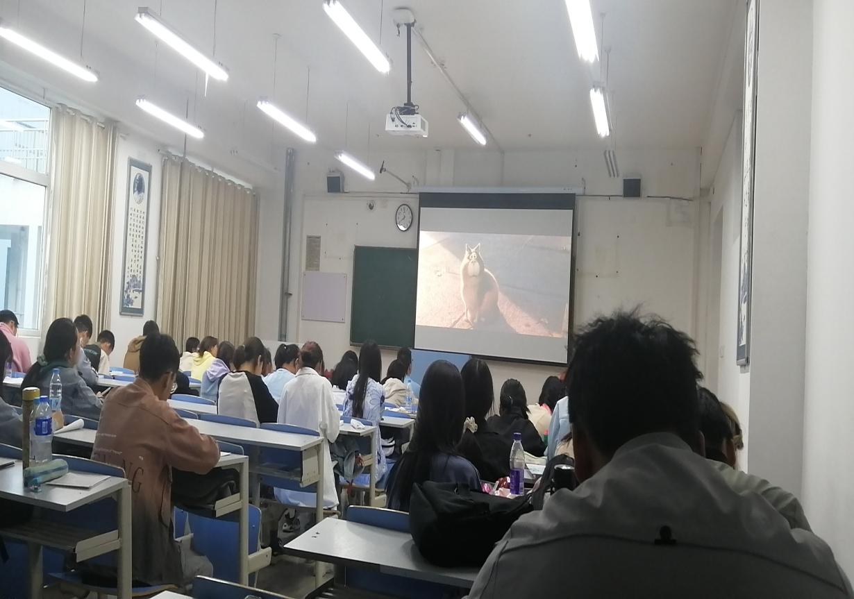 ae2a5ebb306442ffb61fd61b1fe0c874.jpg ae2a5ebb306442ffb61fd61b1fe0c874.jpg