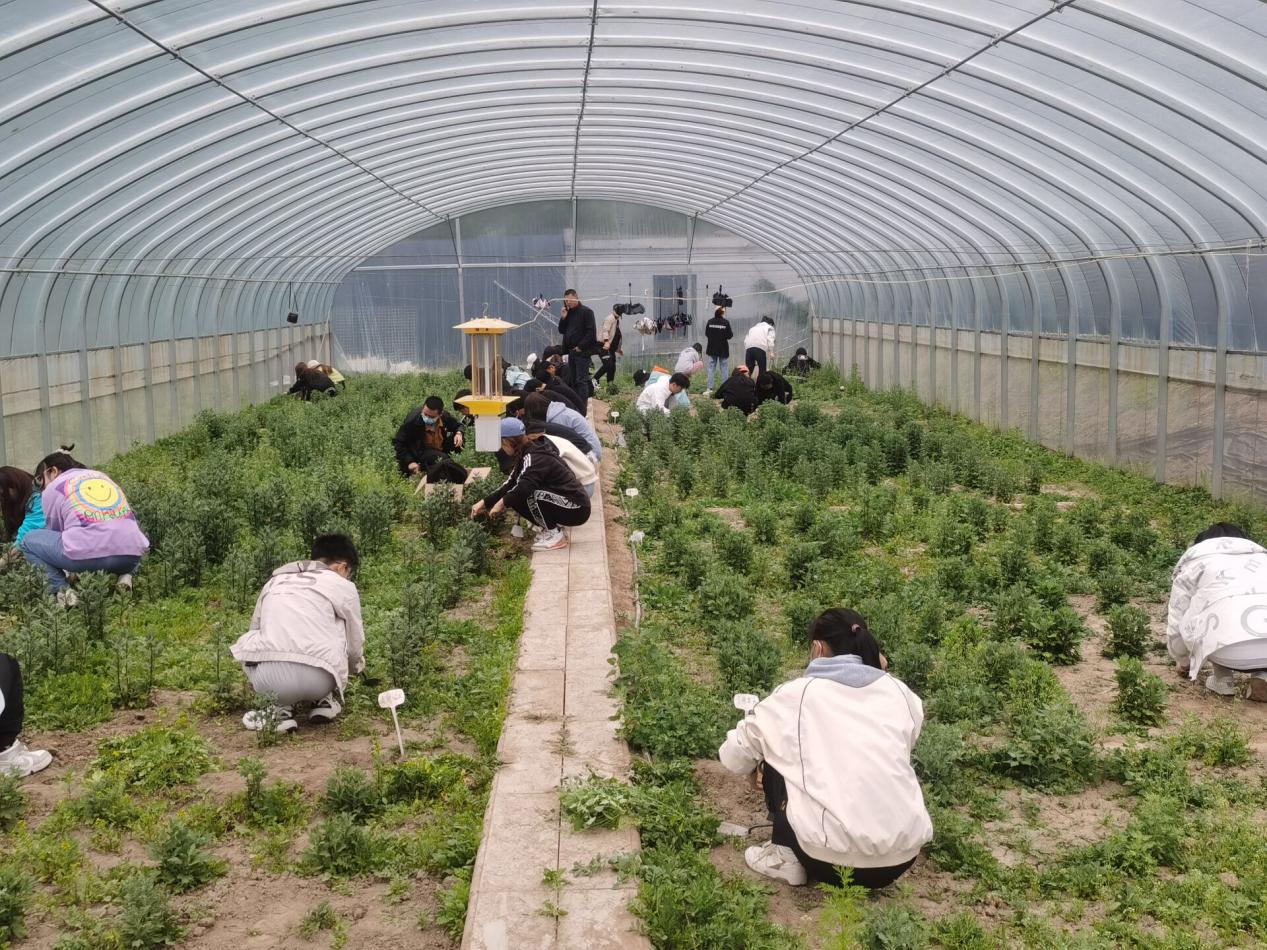 de21d250b31745d8a4b45b89a8626575.jpg de21d250b31745d8a4b45b89a8626575.jpg